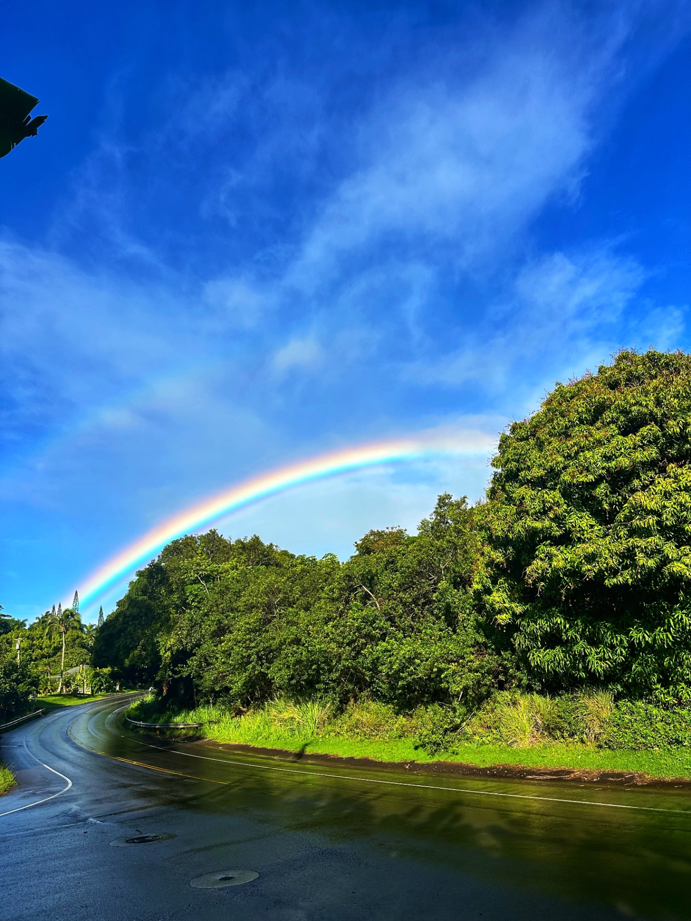 Rainbow arching over a quiet Maui road