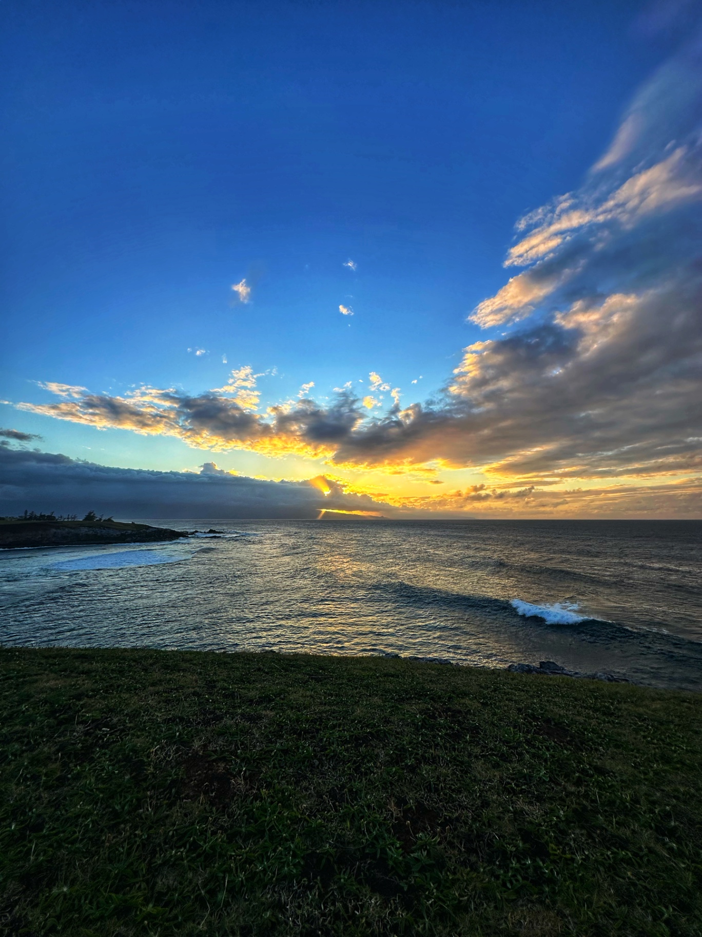 Sunrise over the Pacific from a grassy bluff