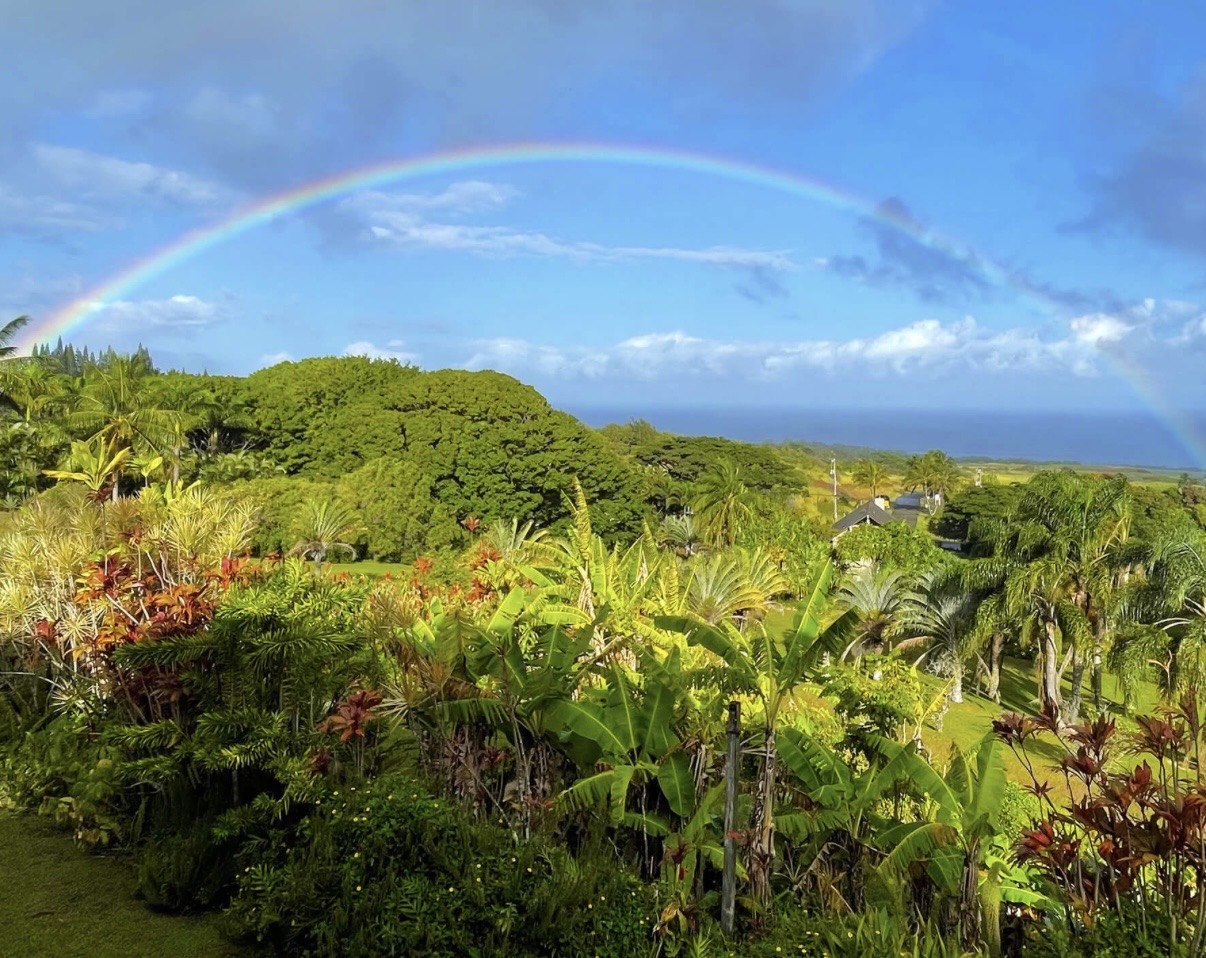 Double rainbow over a tropical Maui garden
